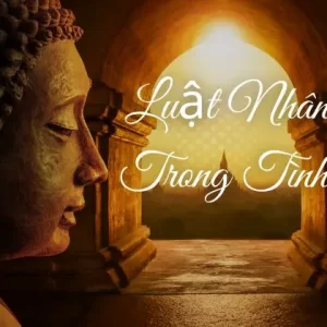 Luật Nhân Quả Trong Tình Yêu Theo Triết Lý Nhà Phật